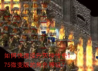 如何快速提升灭神传奇1.75微变版的角色等级? 如何快速提升灭神传奇1.75微变版的角色等级?