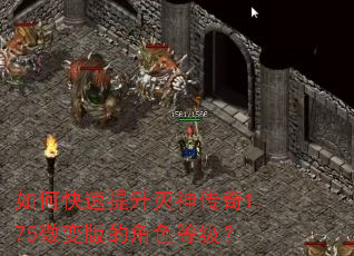 如何快速提升灭神传奇1.75微变版的角色等级? 如何快速提升灭神传奇1.75微变版的角色等级?