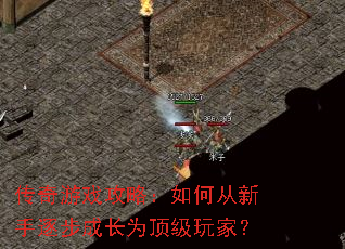 ������Ϸ���ԣ���δ������𲽳ɳ�Ϊ������ң�