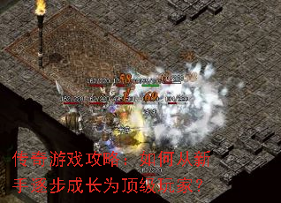 ������Ϸ���ԣ���δ������𲽳ɳ�Ϊ������ң�