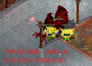 ������Ϸ���ԣ���δ������𲽳ɳ�Ϊ������ң�