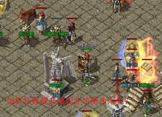 ��ο���������ְҵ�����������