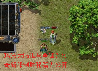 玛法大陆谁与争锋?传奇新服制胜秘籍大公开 玛法大陆谁与争锋?传奇新服制胜秘籍大公开