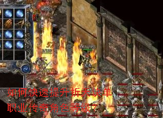 ��ο��������������ְҵ�����ɫ�ȼ���