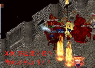 ��ο��������񶷴����ɫս������