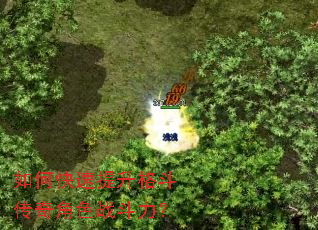 ��ο��������񶷴����ɫս������