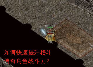 ��ο��������񶷴����ɫս������