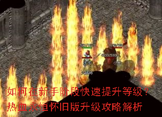 ��������ֽ׶ο��������ȼ�����Ѫ���㻳�ɰ��������Խ���