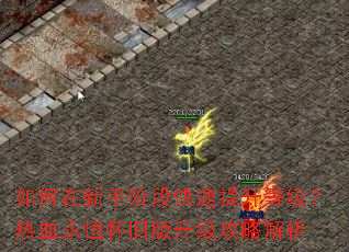 ��������ֽ׶ο��������ȼ�����Ѫ���㻳�ɰ��������Խ���