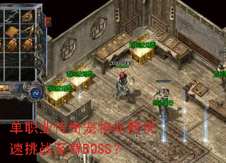 ��ְҵ���������ο�����ս����BOSS��