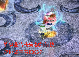 ��ְҵ���������ο�����ս����BOSS��