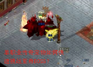 ��ְҵ���������ο�����ս����BOSS��