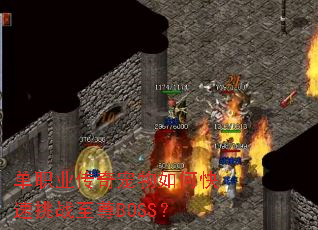 ��ְҵ���������ο�����ս����BOSS��