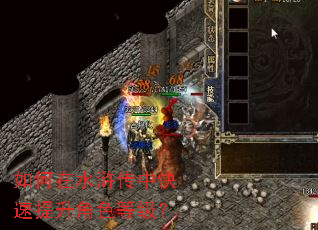 如何在水浒传中快速提升角色等级? 如何在水浒传中快速提升角色等级?