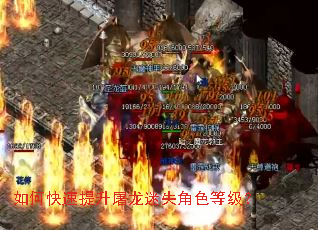 ��ο�������������ʧ��ɫ�ȼ���