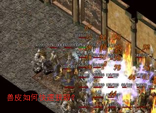 ��Ƥ��ο��ٻ�ȡ��