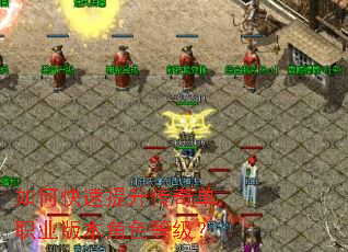 ��ο����������浥ְҵ�汾��ɫ�ȼ���