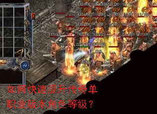 ��ο����������浥ְҵ�汾��ɫ�ȼ���