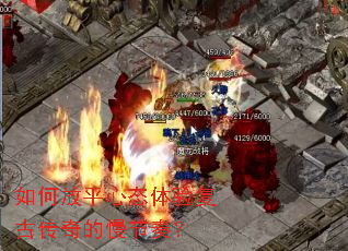 ��η�ƽ��̬���鸴�Ŵ���������ࣿ