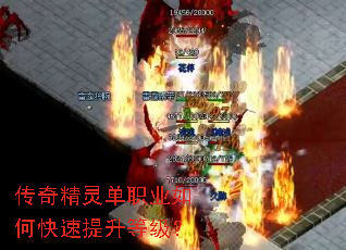 ���澫�鵥ְҵ��ο��������ȼ���