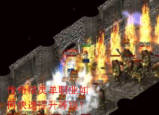 ���澫�鵥ְҵ��ο��������ȼ���