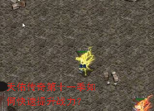 ���Ӵ����ʮһ����ο�������ս����