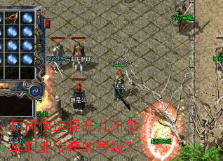 ��ο�����������¼��ְҵ����ĵȼ���