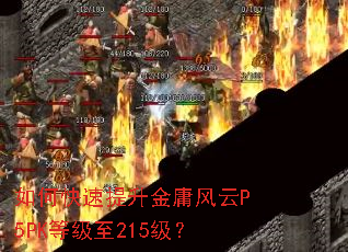 ��ο���������ӹ����P5PK�ȼ���215����