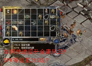 ��ο���������ӹ����P5PK�ȼ���215����