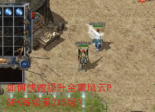 ��ο���������ӹ����P5PK�ȼ���215����