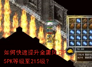 ��ο���������ӹ����P5PK�ȼ���215����