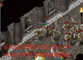 ��γ�Ϊ���Ĵ�½֮�ۣ�170157ԽŮ����Ĵ��湥��ָ��