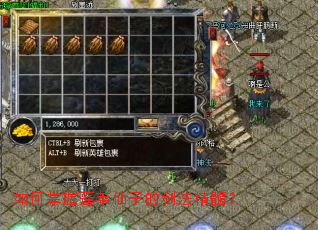 ��������������ӵĽ������裿