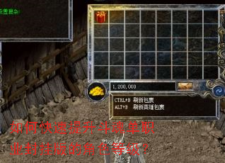 ��ο����������굥ְҵ��Ұ�Ľ�ɫ�ȼ���