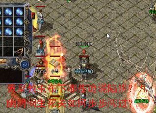 ��Ȫ����������Щ�������壿����������������β���������