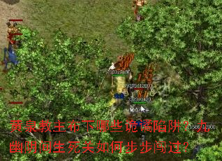 ��Ȫ����������Щ�������壿����������������β���������