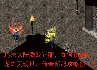 �귨��½��ս��������ο��ٳ���������֮�������������·�������֪���٣�