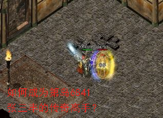 ��γ�Ϊ�ڵ�6841������Ĵ�����֣�