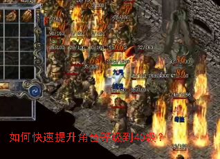 ��ο���������ɫ�ȼ���40����