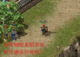 金猴蝴蝶单职业如何快速提升等级? 金猴蝴蝶单职业如何快速提升等级?