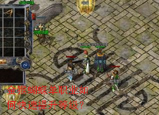 金猴蝴蝶单职业如何快速提升等级? 金猴蝴蝶单职业如何快速提升等级?