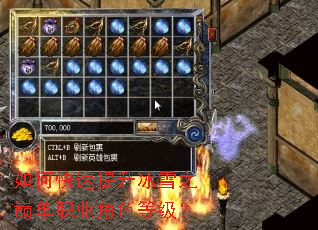 如何快速提升冰雪之巅单职业角色等级? 如何快速提升冰雪之巅单职业角色等级?