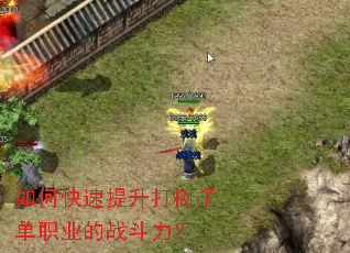 如何快速提升打树子单职业的战斗力? 如何快速提升打树子单职业的战斗力?