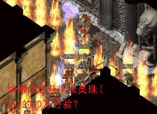 如何快速获得聚灵珠(小)的50万经验? 如何快速获得聚灵珠(小)的50万经验?