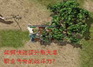 如何快速提升胜天单职业传奇的战斗力? 如何快速提升胜天单职业传奇的战斗力?