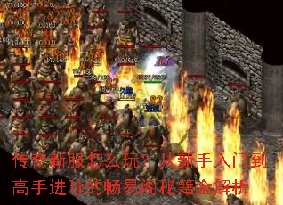 传奇新服怎么玩?从新手入门到高手进阶的畅易阁秘籍全解析 传奇新服怎么玩?从新手入门到高手进阶的畅易阁秘籍全解析