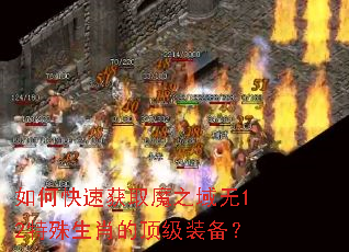 如何快速获取魔之域无12特殊生肖的顶级装备? 如何快速获取魔之域无12特殊生肖的顶级装备?