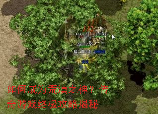 ��γ�Ϊ��Į֮�񣿴�����Ϸ�ռ����Խ���