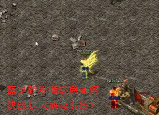 蓝灵新服满级后如何快速获取顶级装备? 蓝灵新服满级后如何快速获取顶级装备?
