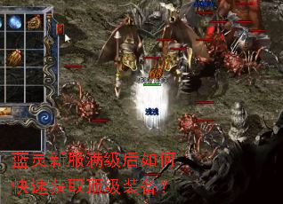 蓝灵新服满级后如何快速获取顶级装备? 蓝灵新服满级后如何快速获取顶级装备?